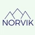 Norvik Tech