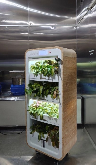 Greenairy plant tower